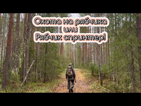 Видео: ОХОТА на РЯБЧИКА на самодельный манок. НЕ МОГУ догнать ПОДРАНКА! Рябчик в духовке!