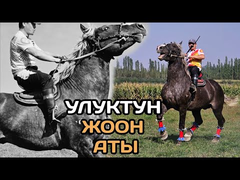 Видео: жоон РЕМБО ТОПТУН АТЫ УЛУКТА