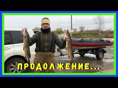 Видео: Щука. Рыбалка в Креницах. Ладога