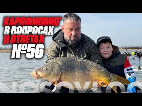 Видео: Карпфишинг в вопросах и ответах #56, Колесников А.