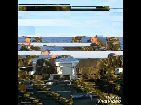 Видео: Тайфун Смерч Нерпа