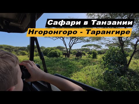 Видео: Путешествие по Танзании. Сафари в парках Нгоронгоро и Тарангире. Стоун Таун на острове Занзибар.