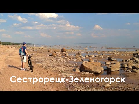 Видео: Один из самых красивых веломаршрутов. Сестрорецк-Зеленогорск
