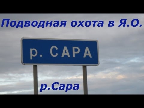 Видео: Подводная охота в Ярославской области. 4 серия - река Сара.