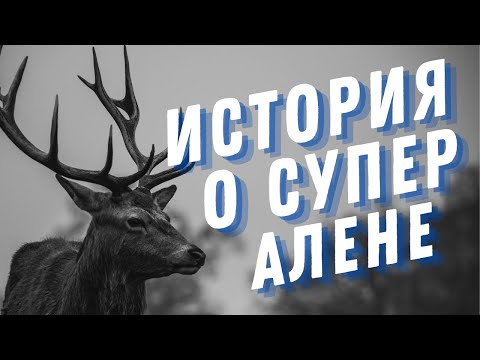 Видео: СУПЕР АЛЕНЬ//ИСТОРИЯ ОБО МНЕ//)перезалив ролика от августа 2021)