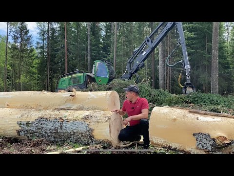 Видео: 50000 часов,Юбиляр John Deere,рубим крупные осины