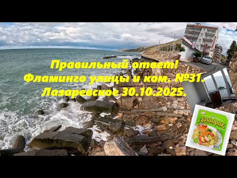 Видео: Правильный ответ! Фламинго, улицы и ком №31. Лазаревское  30.10.2025. Солнечный день!