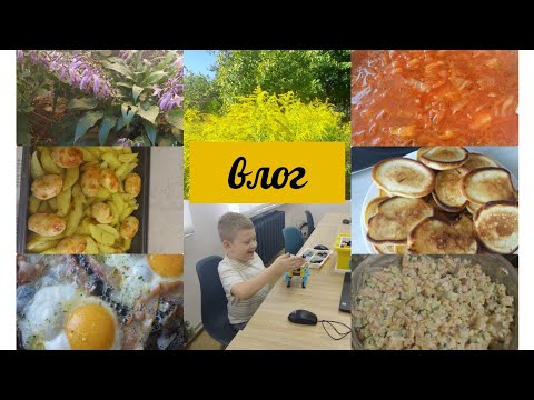 Видео: Новий влог.Тиждень з нами.Наше меню,покупки Єва,Сільпо,СекондХенд.