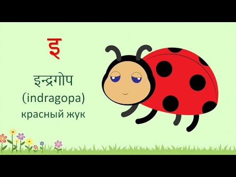 Видео: Зачет по детскому санскриту
