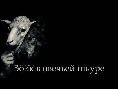 Видео: Волк в овечьей шкуре