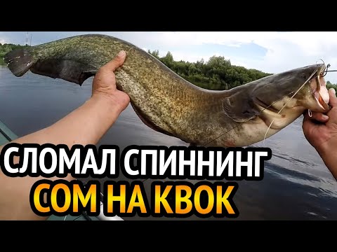 Видео: Ловля СОМА на КВОК. Сломал спиннинг при подсечке.
