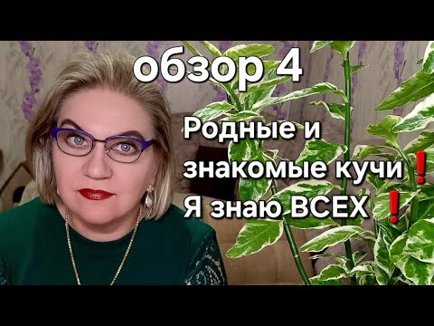 Видео: Родные и знакомые кучи❗️Я знаю ВСЕХ❗️