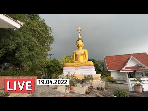 Видео: Не доехали до кафе с самолётами 🟡 Таиланд в Прямом Эфире