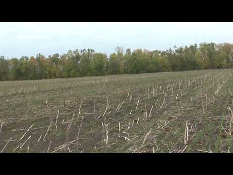Видео: No-Till озимая по подсолнечнику amazone dmc,качество всходов.