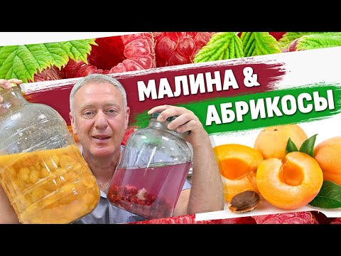 Видео: Малиновая ратафия и абрикосовый мацерат: баттл ароматных! Часть первая, подготовительная.