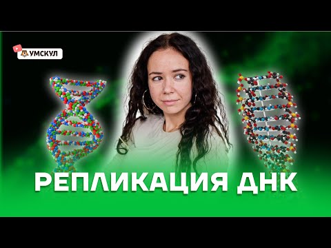 Видео: Репликация ДНК | Биология ЕГЭ 2022 | Умскул