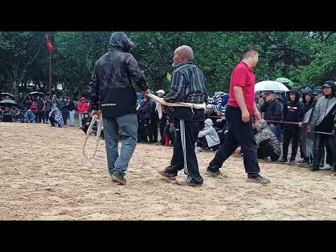 Видео: Легенда Илхом мыкты чабул  Легенда Дублёр Шералы айылында