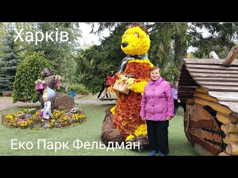 Видео: Бал Хризантем 2025! ЕкоПарк Фельдман Харків