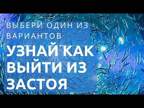 Видео: Выйти из застоя: выбери один из 3 вариантов, в конце бонус для всех 
