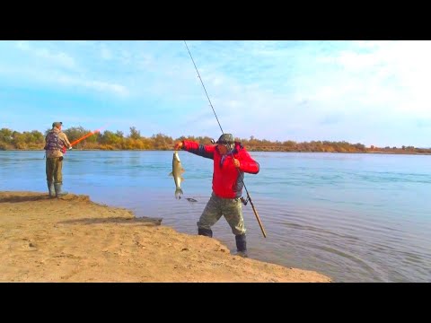 Видео: РЫБА НА КАЖДОМ ЗАБРОСЕ! ТАКАЯ РЫБАЛКА РАЗ В ГОД!