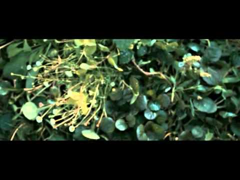 Видео: Гарри Поттер - 19 лет спустя (вместо эпилога)