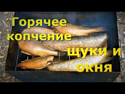 Видео: ГОРЯЧЕЕ КОПЧЕНИЕ ЩУКИ И ОКУНЯ