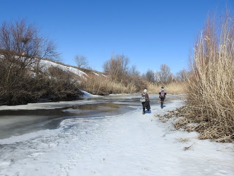 Видео: Поход по окрестностям города Ершов 01.03.2020