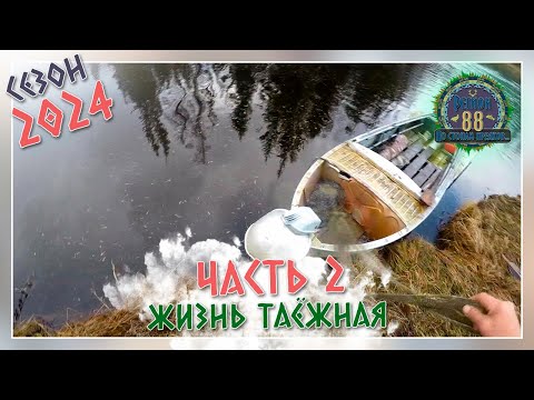 Видео: Регион 88 | Сезон 24 - Жизнь таёжная - часть 2