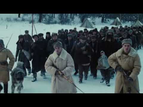 Видео: ДЕНЬ И НОЧЬ НАД ТАЙГОЙ.