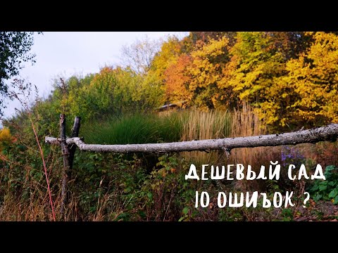 Видео: Дешевый сад 10 ошибок