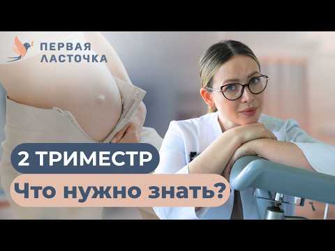 Видео: Что ждет во втором триместре беременности?