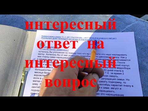 Видео: Нет расплода -- нет проблем и много мёда !!!  Здоровая и сильная семья идёт в зиму !!!