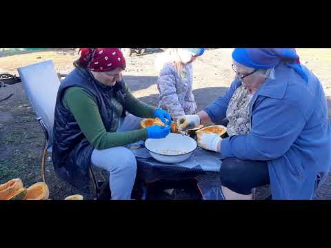 Видео: НАШ "ВЫХОДНОЙ"