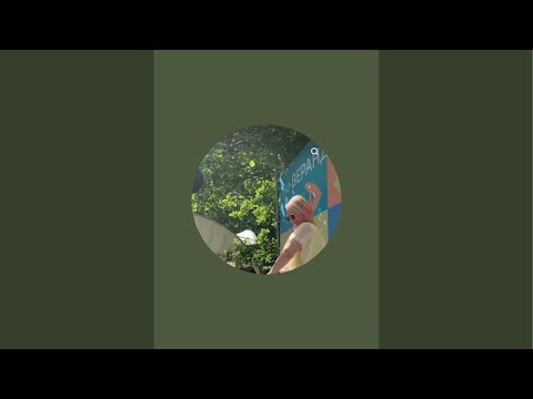 Видео: Gala♥️ в прямом эфире!