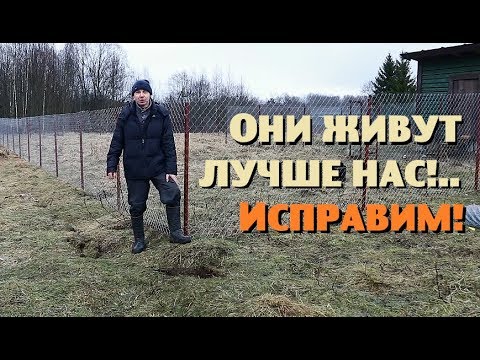 Видео: Они живут лучше нас ! Исправим!