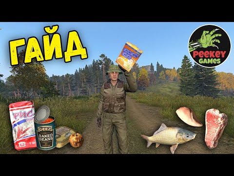 Видео: ГАЙД "как не помереть с голоду" в DayZ