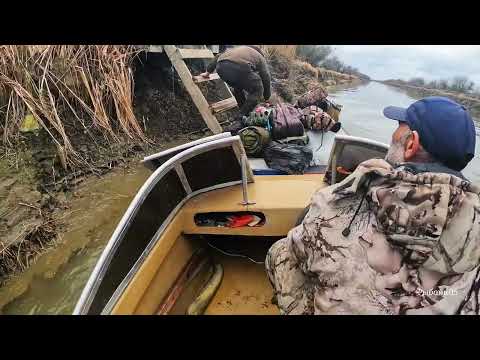 Видео: Весенний сазан на донку. Рыбалка ранней весной.