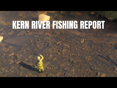 Видео: Что происходит с рекой Керн? Узнайте прямо сейчас!