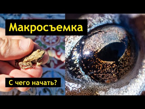 Видео: МАКРОсъемка - что выбрать вначале? Макрокольца или макрообъектив? Сравнение с примерами фотографий