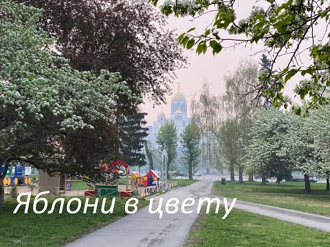 Видео: Яблони в цвету. История одной картины 3