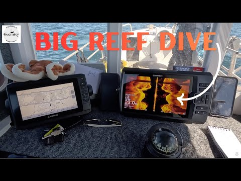 Видео: Мы погрузились с аквалангом на рифовый собор у восточного побережья Гернси на Нормандских островах.