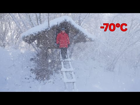 Видео: Строительство теплого и уютного деревянного убежища для выживания — 7 дней выживания в дикой природе
