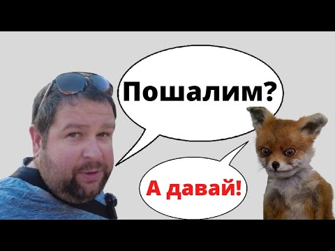 Видео: Что делать когда нет денег? Это самое хорошее время!