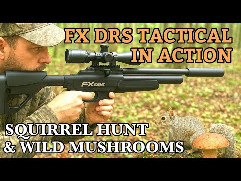 Видео: Охота на белок с FX DRS Tactical .22 | JSB 18.13 Пули и лесные грибы, которые можно найти в лесу