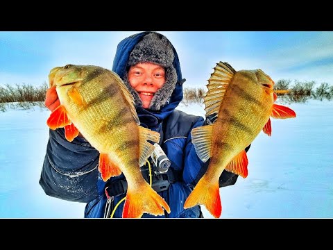 Видео: ОКУНИ-ГИГАНТЫ НА МИНИ ПРИМАНКИ?!!! ЩУКА НЕ ЛЕЗЕТ В ЛУНКУ!!! ЗИМНЯЯ РЫБАЛКА 2025