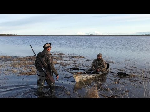 Видео: ОХОТА НА ТУРПАНА НА КОЛЫМЕ 2023. 1. DUCK HUNTING 2023 IN SIBERIA. KOLYMA/ PART 1