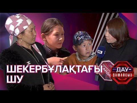 Видео: Дау-дамайсыз: Шекербұлақтағы шу