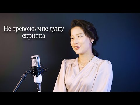 Видео: НурЧолпон - Не тревожь мне душу скрипка. В.Меладзе