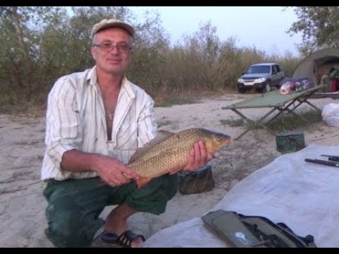 Видео: Рыбалка на реке Дон,  два последних летних дня 2019