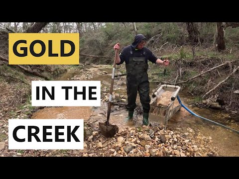Видео: В этом ручье повсюду ЗОЛОТО!